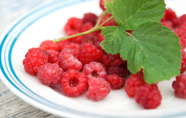 fresh juicy raspberries on a white plate
