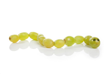 Food art creative concepts. Cute animals made of green grapes over white background.