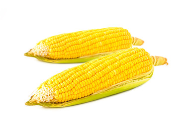 fresh corn isolated on white background