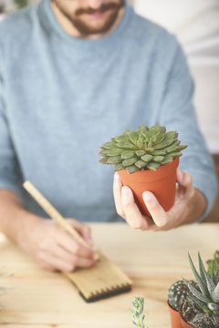 Man holding succulent plant and taking notes