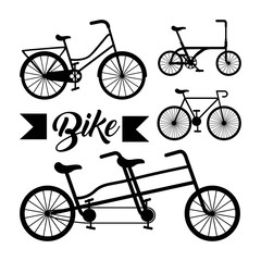 pattern bicycle poster icon vector illustration design