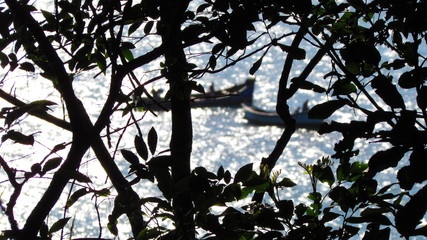 Branchs and boats at sea