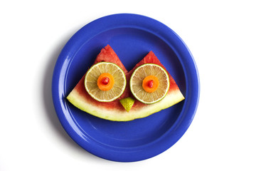 Food art creative concepts. Cute animal made of fruits such as watermelon isolated over a white background.