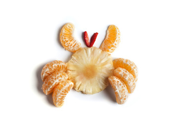 Food art creative concepts. Funny animal made of fruit such as mandarin orange. Cute dessert for children. Fruit isolated on a white background.