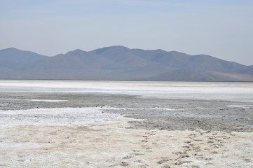 surface of the salt lake, salt marsh. north of Mongolia.