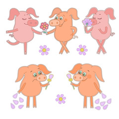 Obraz premium Five cute cartoon piglet stickers Happy and sad pigs with a flower in a hand.