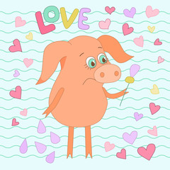 Sad pig with a flower in a hand. Cute piggy in cartoon style on backgraund from wavy lines and hearts.
