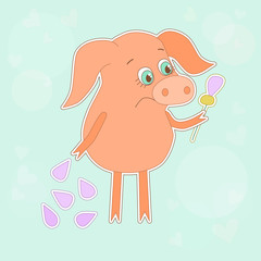 Sad pig with a flower in a hand. Cute piggy in cartoon style on blue background.