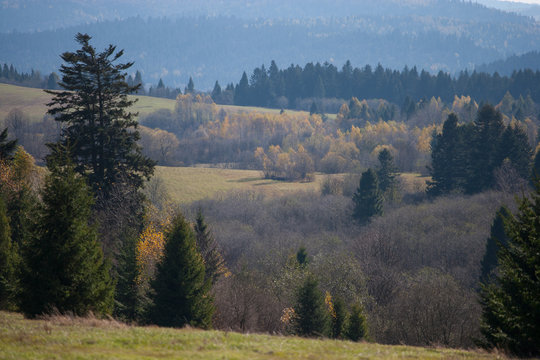 Bieszczady - jesień w Otrycie