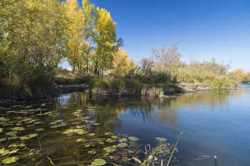 Fototapeta premium autumn landscape with a river view