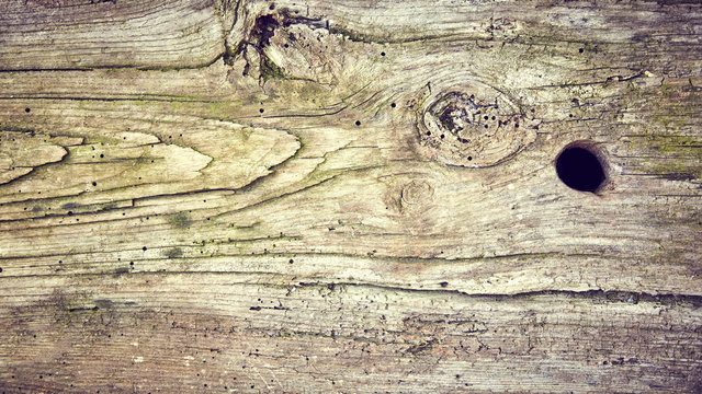 Texture asse di legno