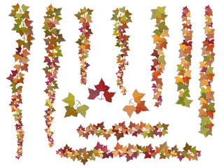 Set of autumn vector ivy branches, growing from the top downwards and upwards. This elements can be used as a Art Brush to create of any curled from for decorate card, frames and corners.
