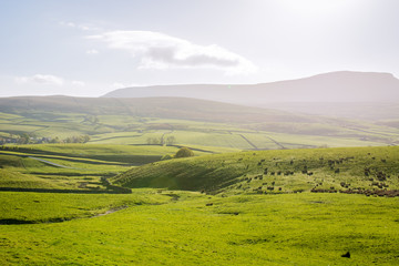 Fototapeta na wymiar Yorkshire Dales National Park
