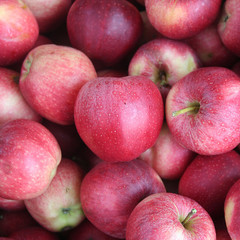 mucchio di mele rosse