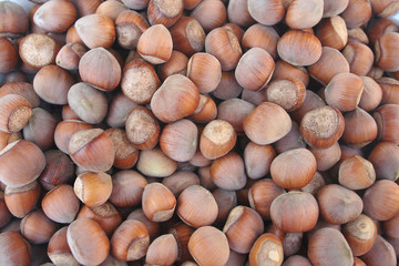 nocciole intere isolate su sfondo bianco