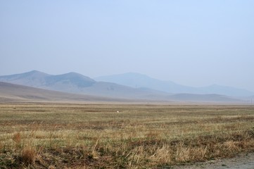 surface of the salt lake, salt marsh. north of Mongolia.