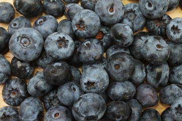 Fresh blueberries closeup