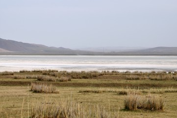 surface of the salt lake, salt marsh. north of Mongolia.