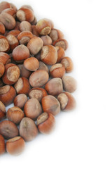 nocciole intere isolate su sfondo bianco