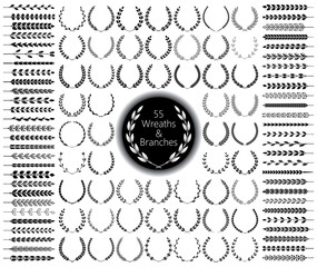 55 wreaths and branches set. Vector illustration.