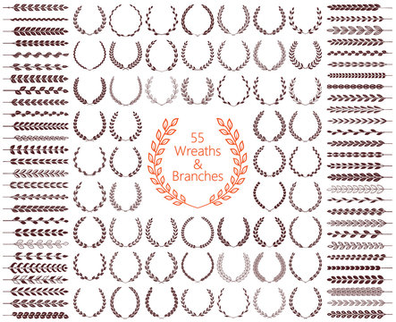 55 wreaths and branches set. Vector illustration.