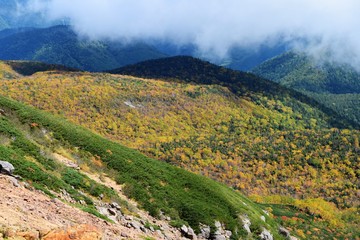 Fototapeta premium 乗鞍エコーライン 紅葉
