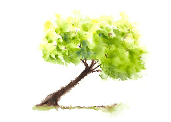 Watercolor painting, green tree painting, hand painted, impressionist style