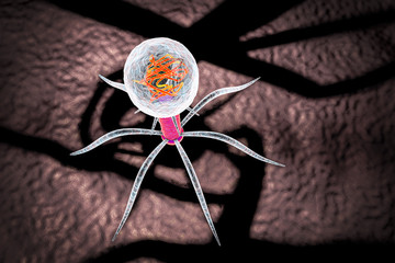 Bacteriophage, a virus which infects bacteria