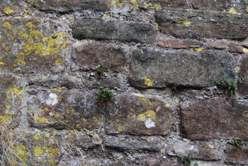 Old castle brick wall stone texture 