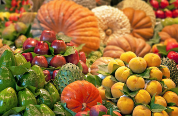  assorted raw organic vegetables