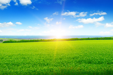 Obraz premium field, sunrise and blue sky