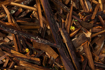 Wet wood planks abstract background. Broken wooden boards. Outdo