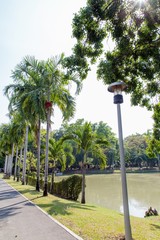 Obraz premium pathway in green city park 
