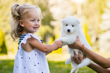 little girl kissing her puppy Samoyed breed