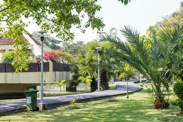 pathway in green city park
