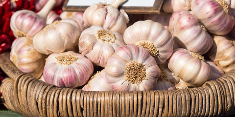 Knoblauch vom Markt - mediterrane Küche - gesunde Ernährung