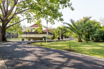 Obraz premium pathway in green city park 