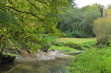 Bach zusammen flie&szlig;end von Lutter und Baderbach in Heepen Bielefeld Westfalen Ostwestfalen Deutschland