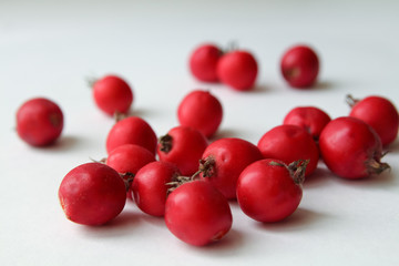  Hawthorn berries close-up