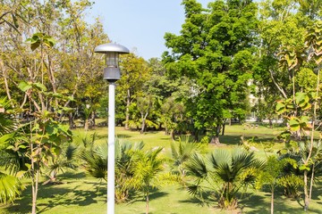 lamp in the park