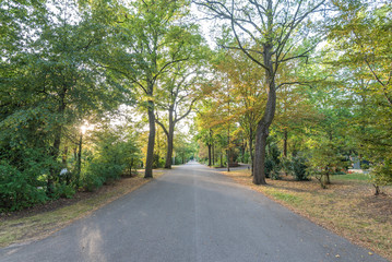 Idyllischer Spätsommerabend im Park