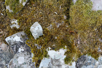 old castle brick wall stone texture