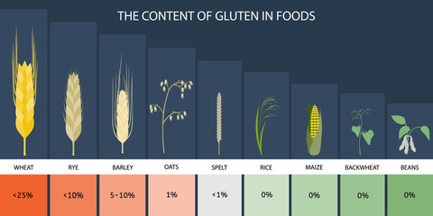 The levels of gluten in foods - obrazy, fototapety, plakaty