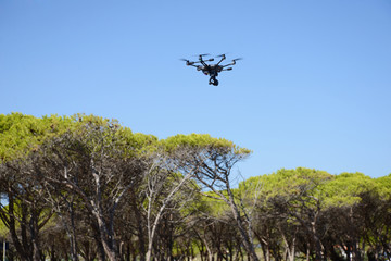 drone hovering over trees