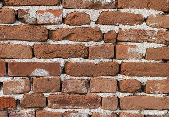 Old wall of brick texture