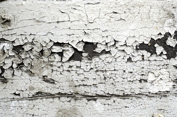 texture of cracked paint, white