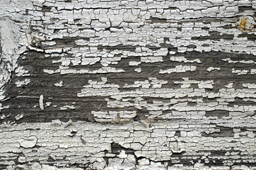 texture of cracked paint, white