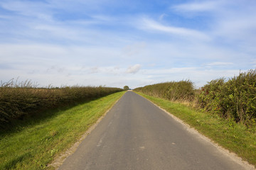 Fototapeta na wymiar small rural road