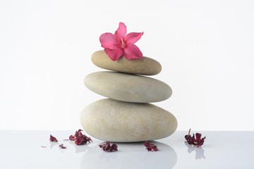 Piedras sobre fondo blanco y una flor de color rosa