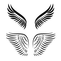 Obraz premium Abstract vector illustration wings set isolated on white background